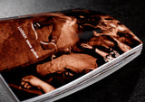 LOOSER - book